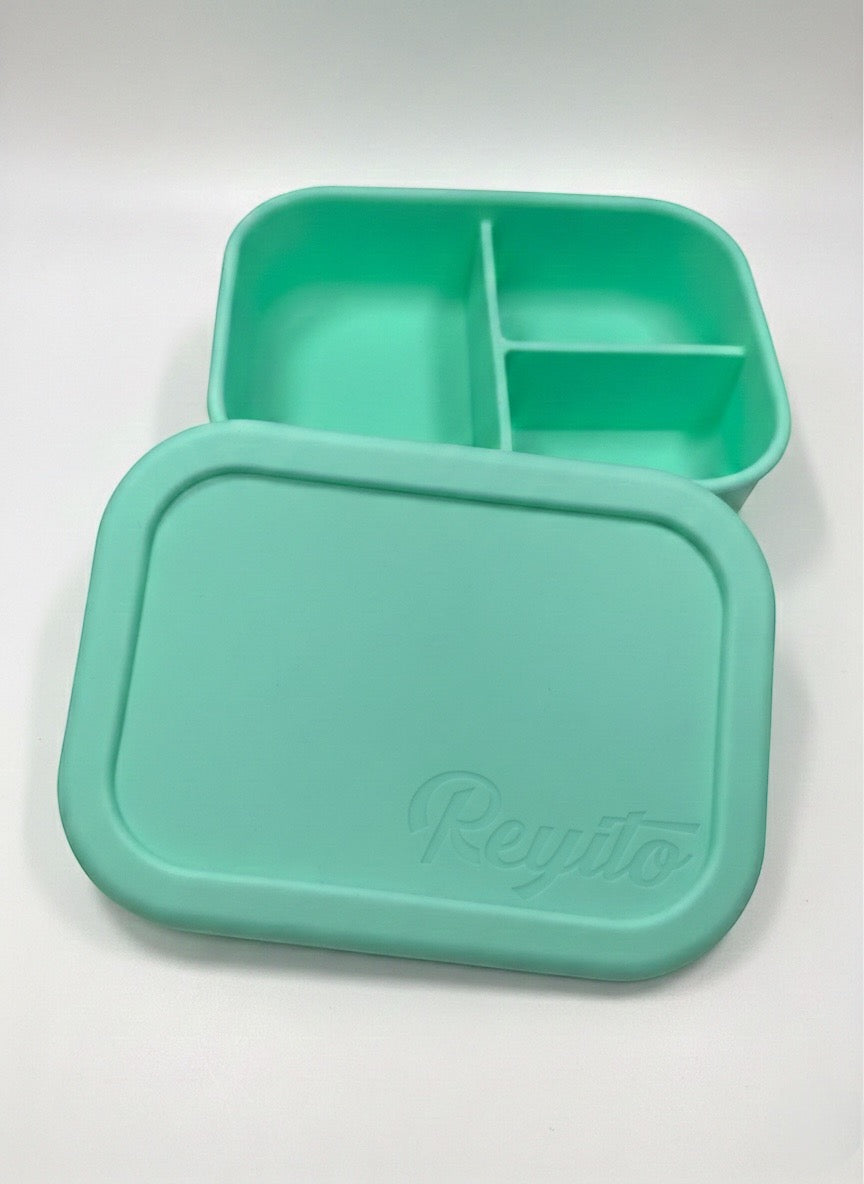 Bento Lunch Box – Fun and Practical for Kids